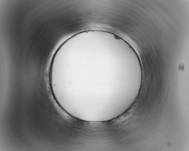 X0000103451152200810031430