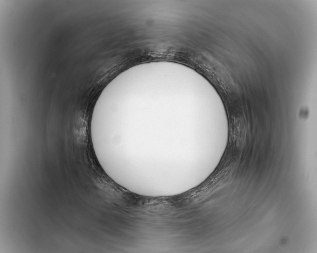 X0000103451154200810031429