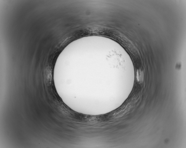 X0000103451155200810031429