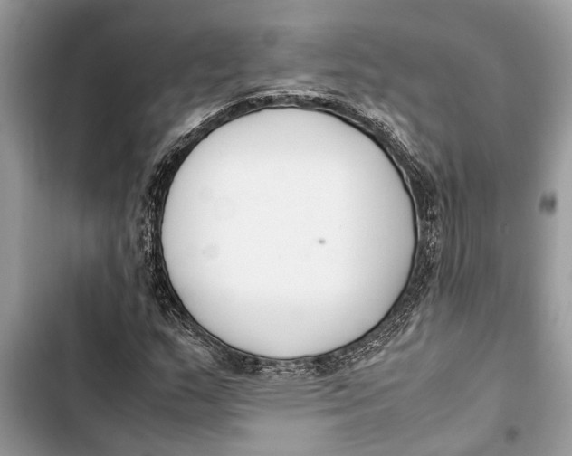 X0000103451159200810031429