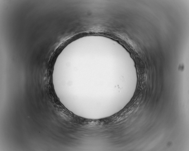 X0000103451160200810031429