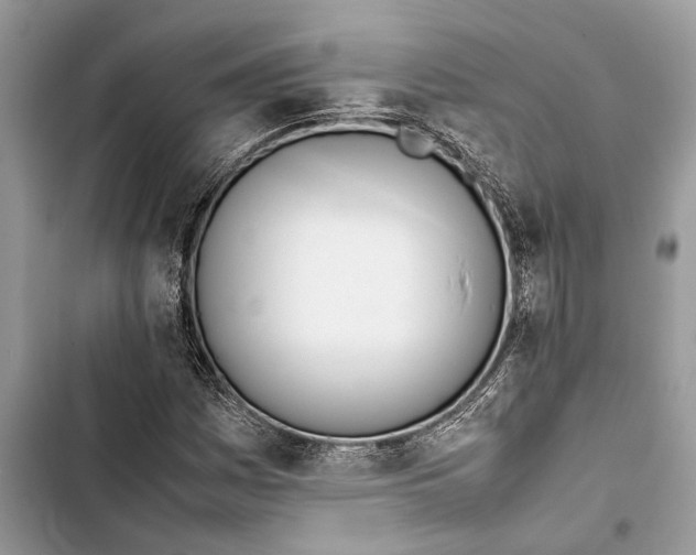 X0000103451161200810031429