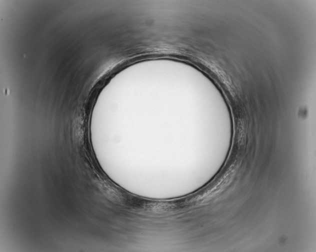 X0000103451163200810031429