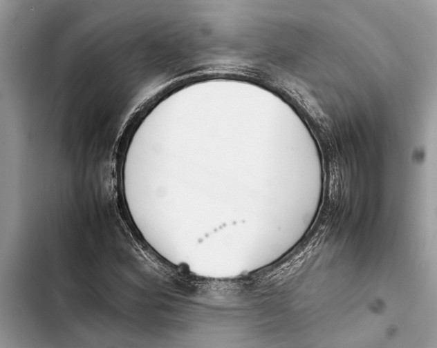 X0000103451164200810031429