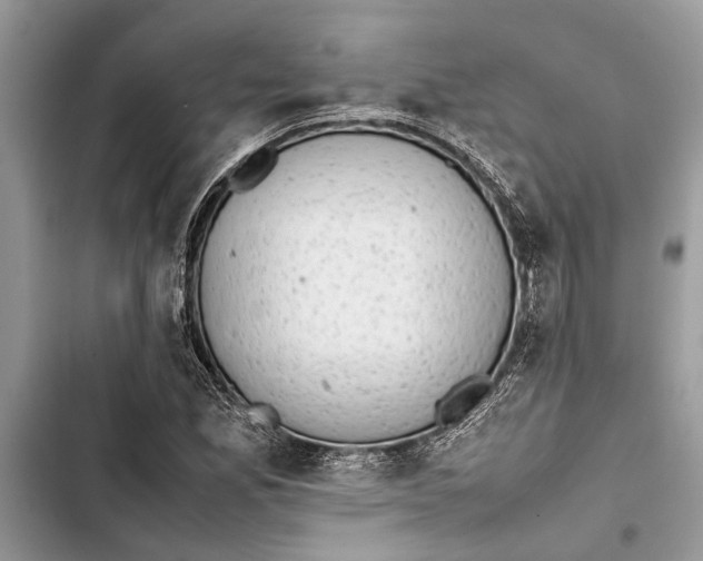 X0000103451165200810031429