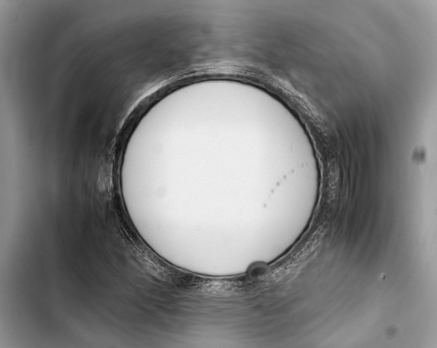 X0000103451166200810031429