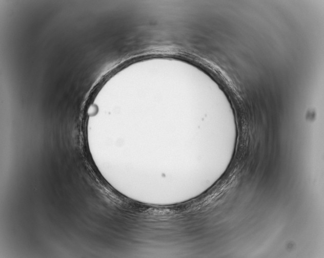 X0000103451168200810031429