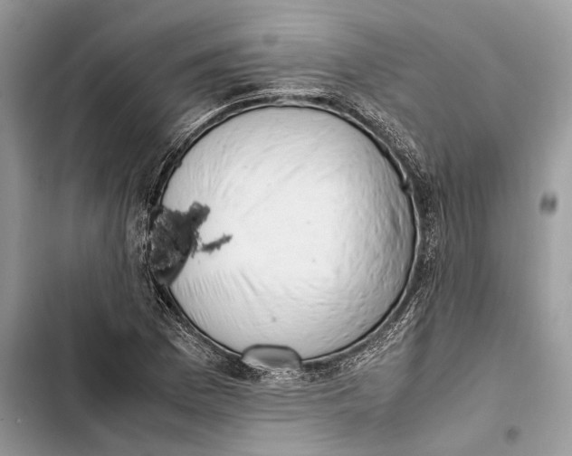 X0000103451169200810031429