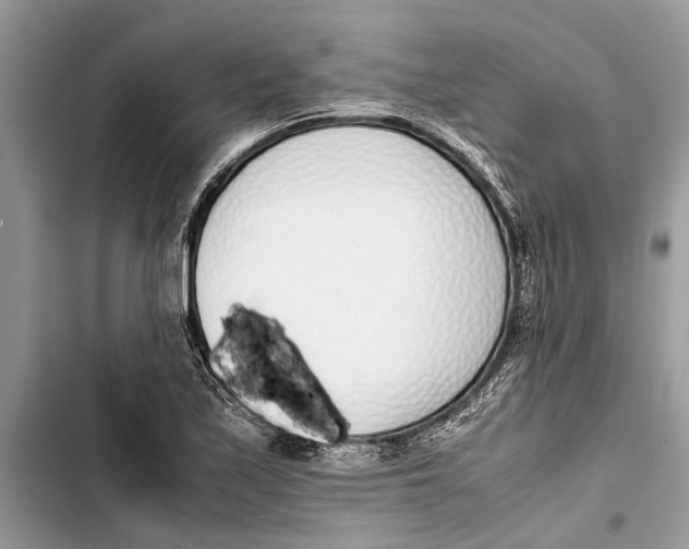 X0000103451171200810031429