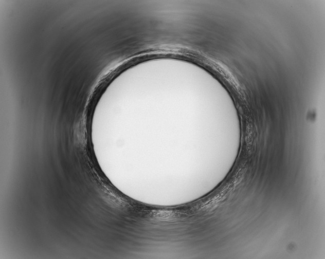 X0000103451172200810031429