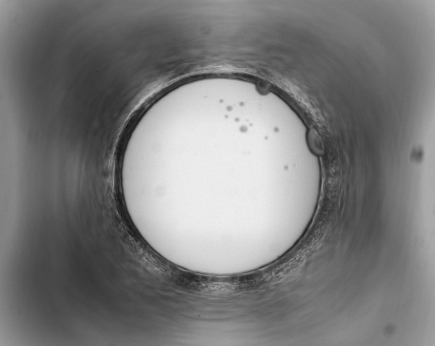 X0000103451173200810031429