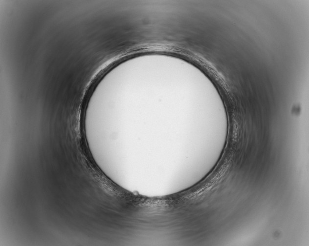 X0000103451174200810031429