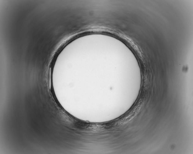 X0000103451175200810031429