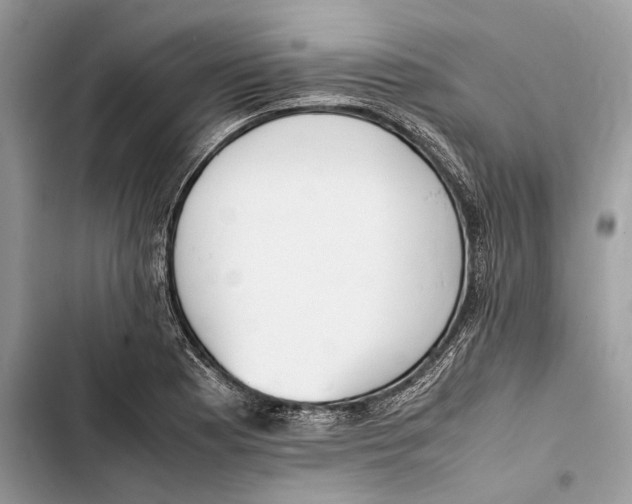 X0000103451177200810031429