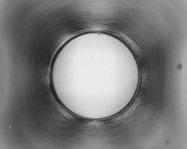 X0000103451178200810031429