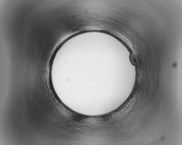 X0000103451179200810031429