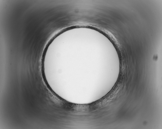 X0000103451183200810031429