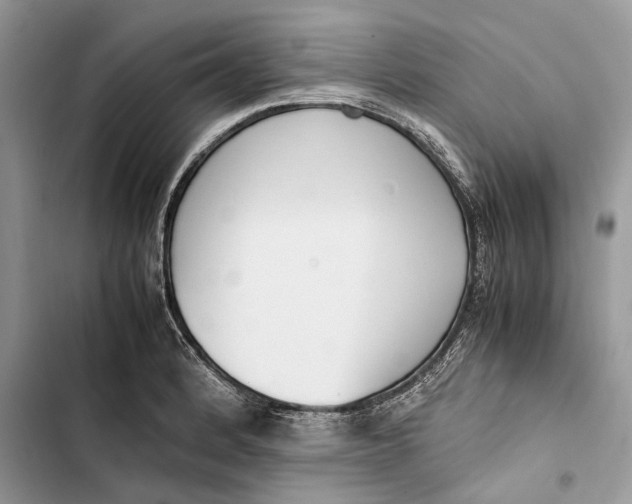 X0000103451184200810031429