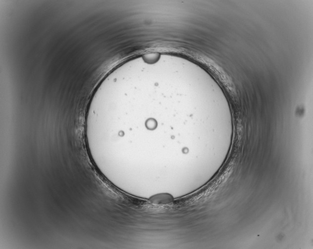 X0000103451185200810031429