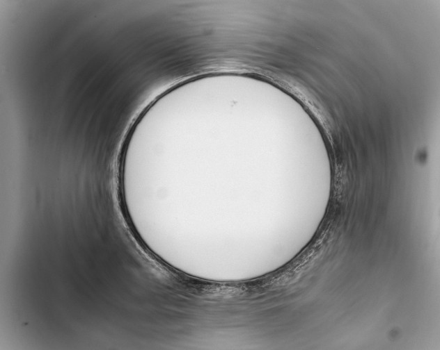 X0000103451187200810031429