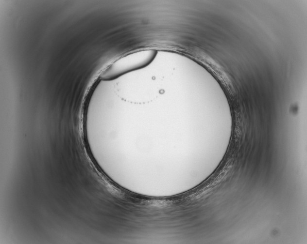 X0000103451188200810031429