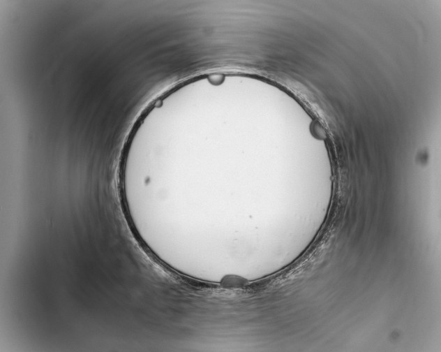 X0000103451189200810031429