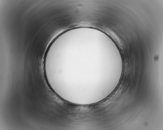 X0000103451190200810031429