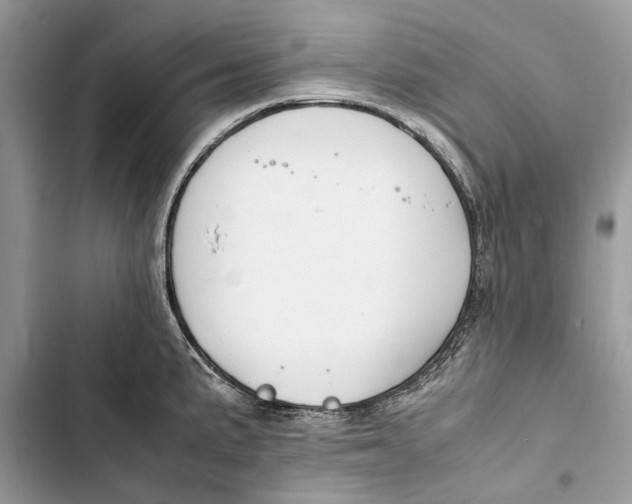 X0000103451191200810031429