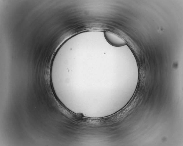 X0000103451194200810031429