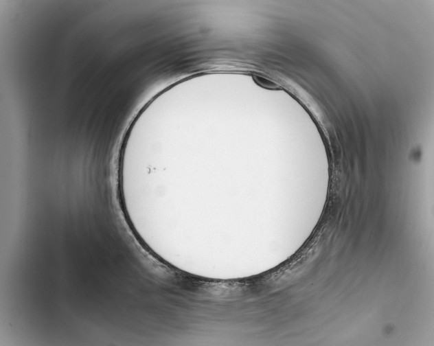 X0000103451195200810031429