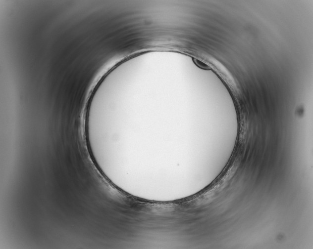 X0000103451196200810031429