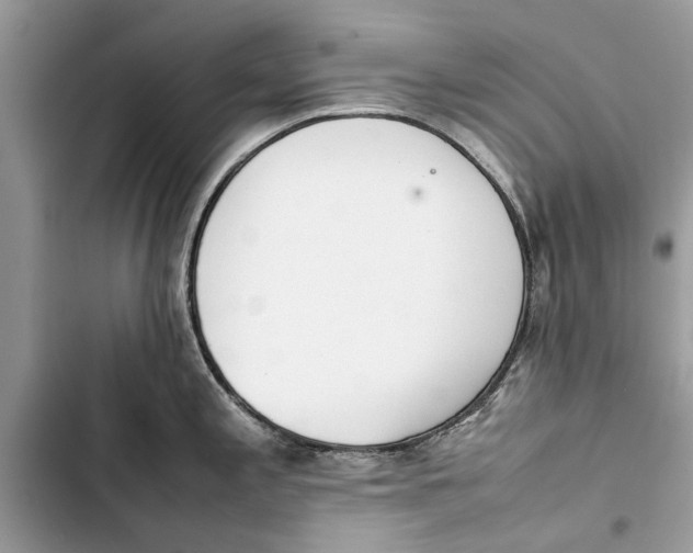 X0000103451197200810031429