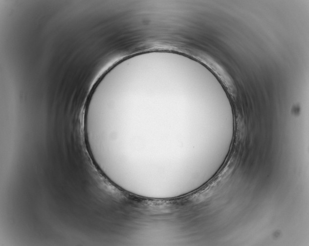 X0000103451198200810031429