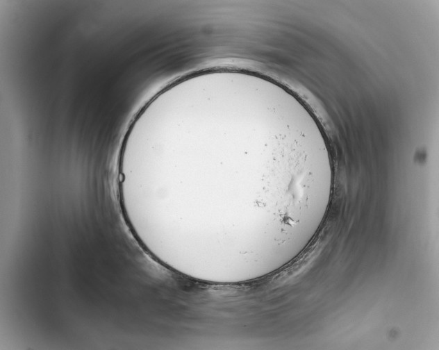 X0000103451199200810031429