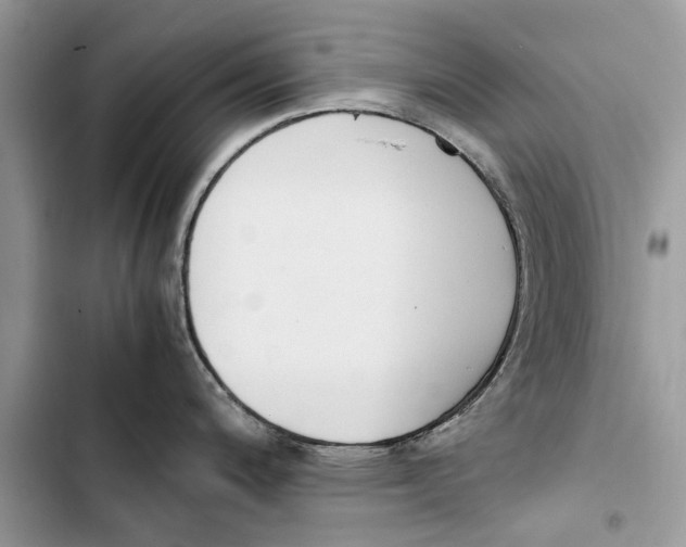 X0000103451200200810031429