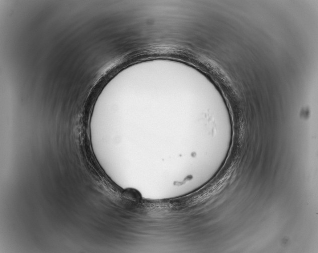 X0000103451210200810031428