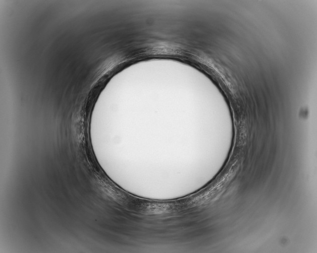 X0000103451211200810031428