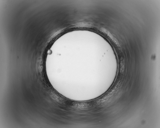 X0000103451213200810031428