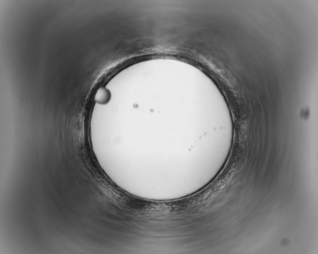 X0000103451214200810031428