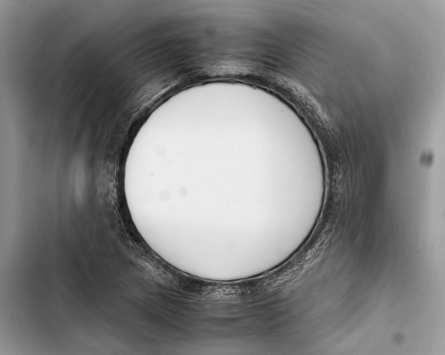 X0000103451217200810031428