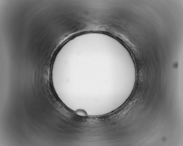 X0000103451220200810031428