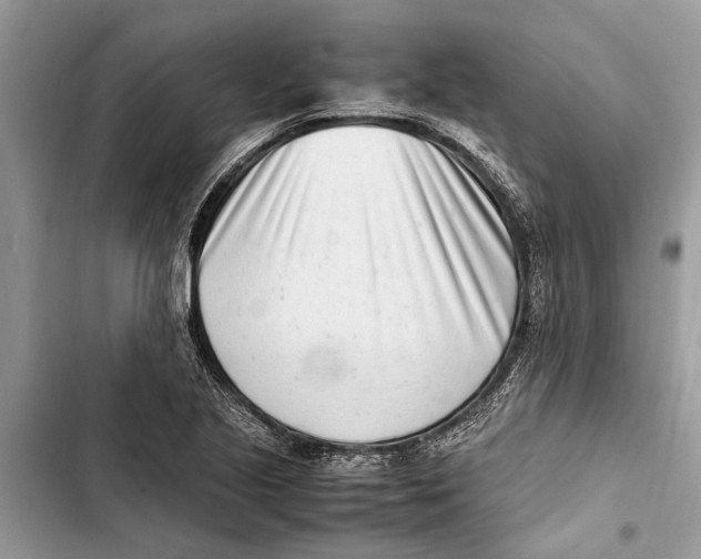 X0000103451221200810031428