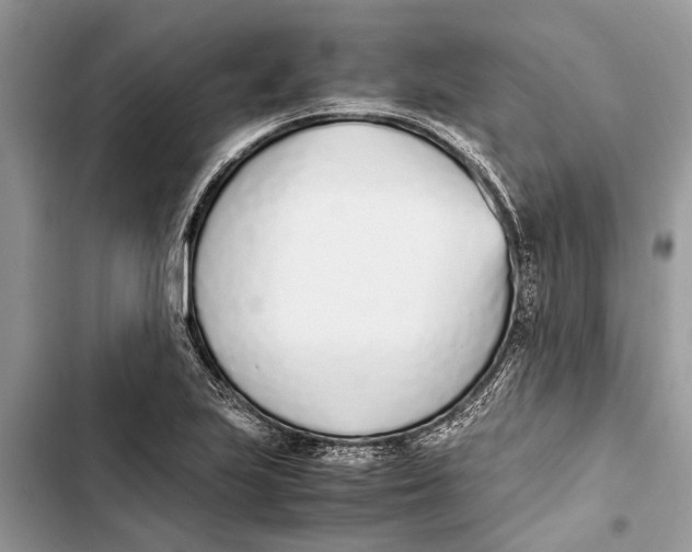 X0000103451223200810031428