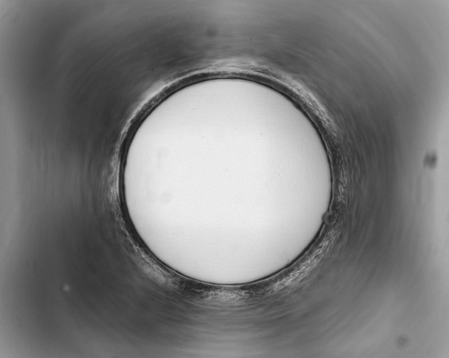 X0000103451224200810031428