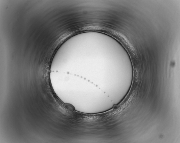 X0000103451225200810031428