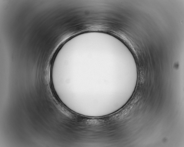 X0000103451227200810031428