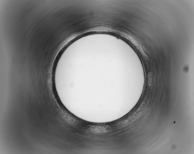 X0000103451229200810031428