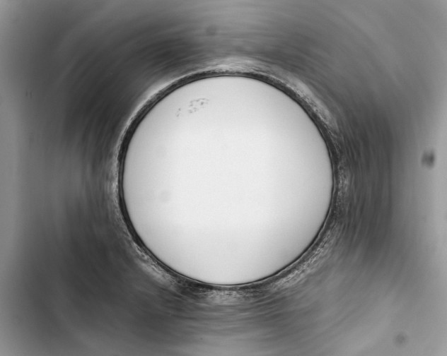 X0000103451232200810031428