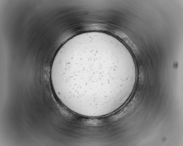 X0000103451233200810031428