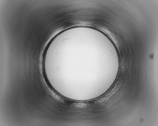 X0000103451235200810031428